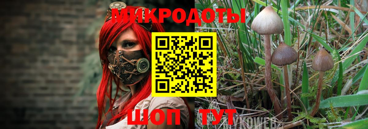 Псилоцибиновые грибы ЛСД  Вход с VPN  Галлюциногенные грибы прущие грибы  Заводоуковск 