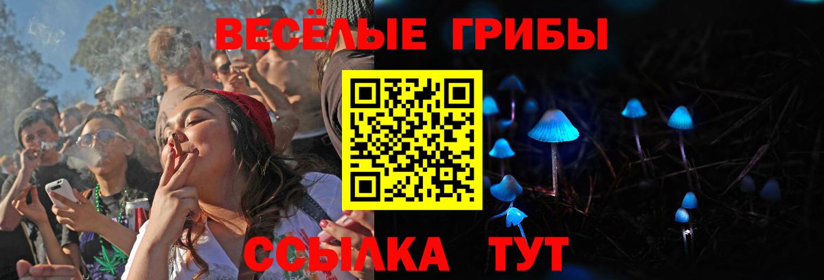 Галлюциногенные грибы ЛСД Заводоуковск